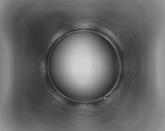 X0000111621218200907171237