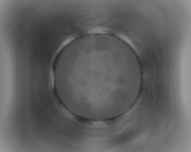 X0000111621219200907171237