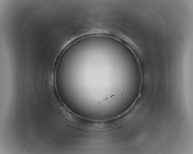 X0000111621220200907171237