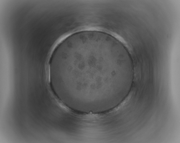 X0000111621223200907171237
