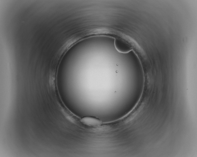 X0000111621225200907171237