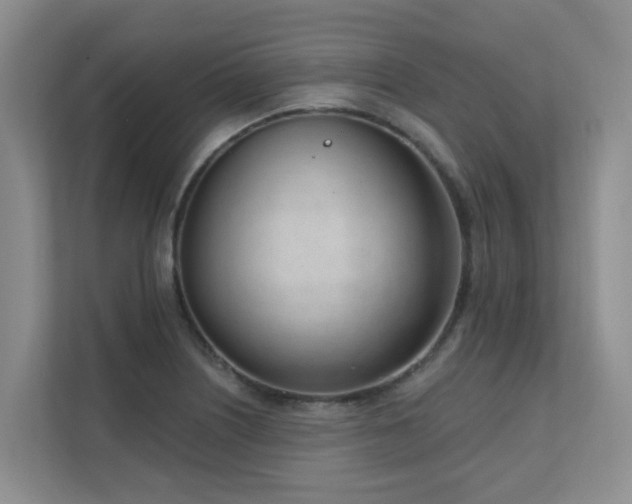 X0000111621226200907171237