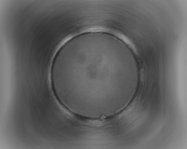 X0000111621229200907171237