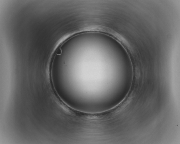 X0000111621230200907171237