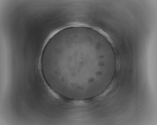X0000111621231200907171237