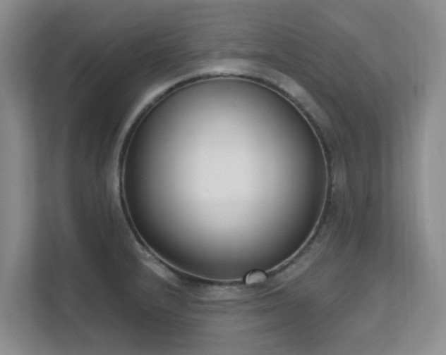 X0000111621232200907171237