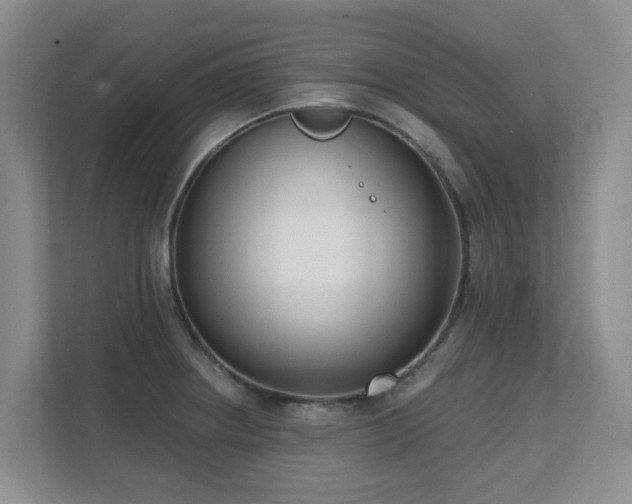 X0000111621234200907171237