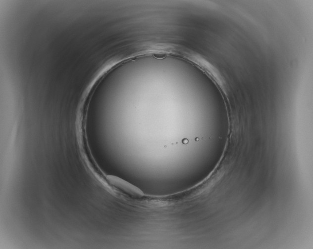X0000111621235200907171237