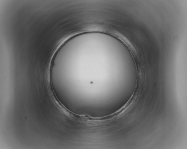 X0000111621236200907171237