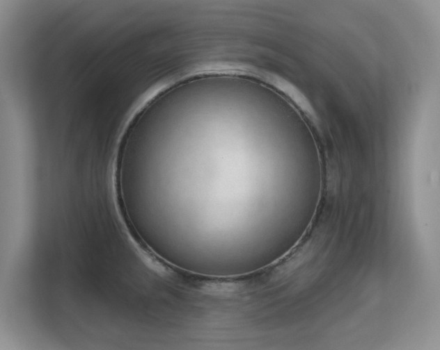 X0000111621237200907171237