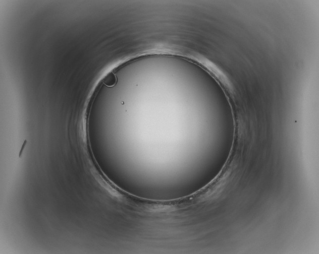 X0000111621238200907171238