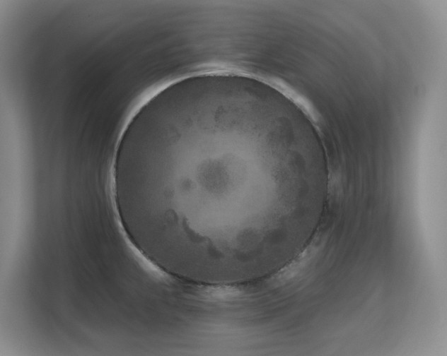 X0000111621239200907171238