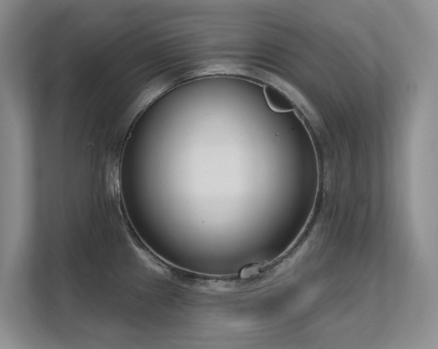 X0000111621241200907171238