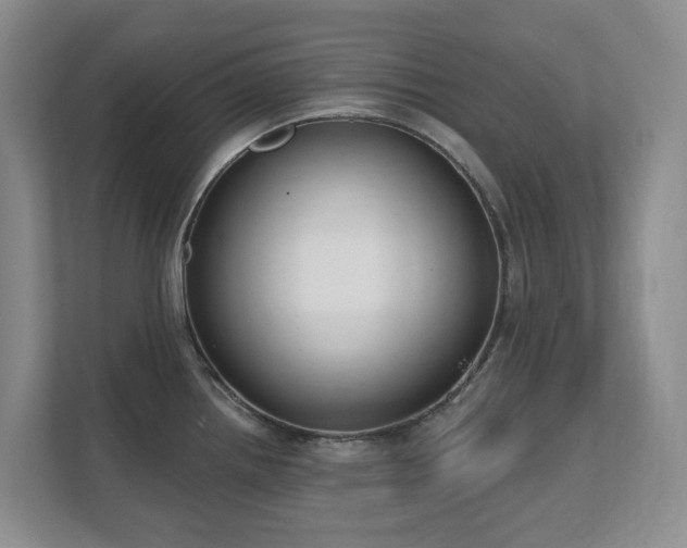 X0000111621242200907171238