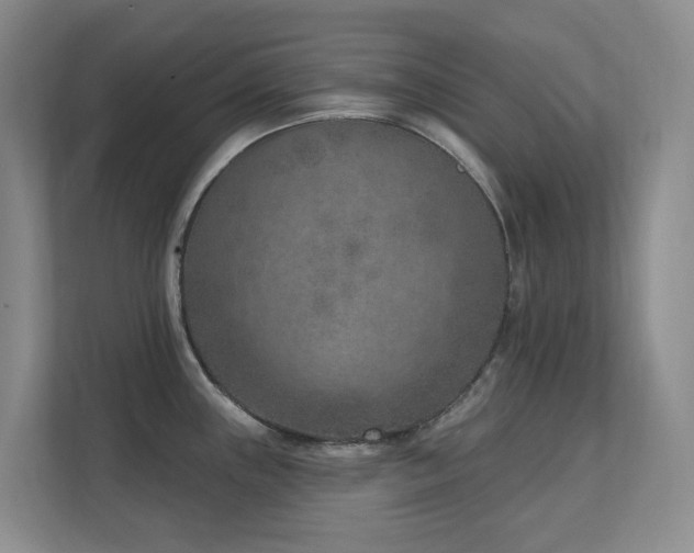 X0000111621243200907171238