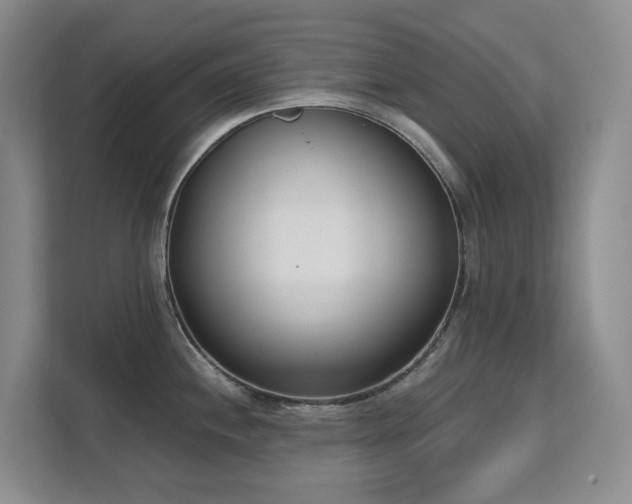 X0000111621244200907171238