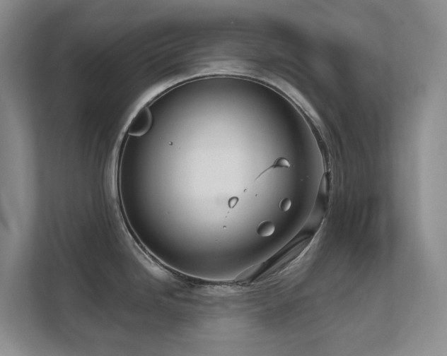 X0000111621246200907171238