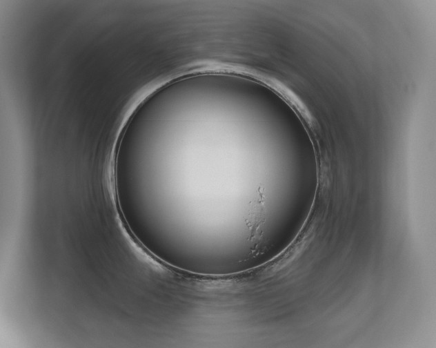 X0000111621247200907171238
