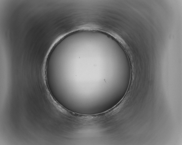 X0000111621248200907171238