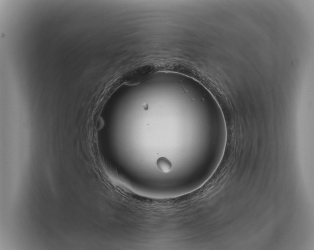 X0000111621249200907171237