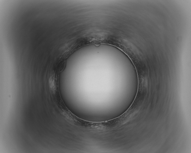 X0000111621250200907171237