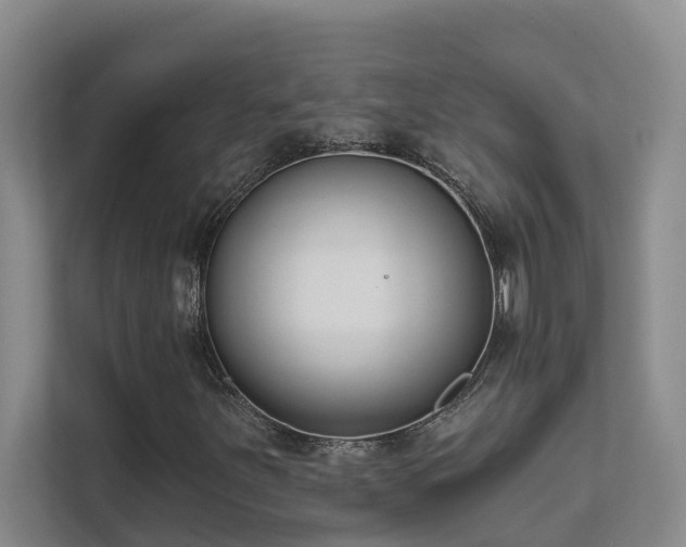 X0000111621251200907171237