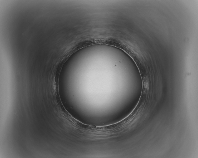 X0000111621252200907171237