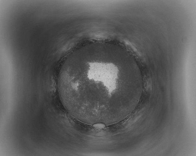 X0000111621253200907171237