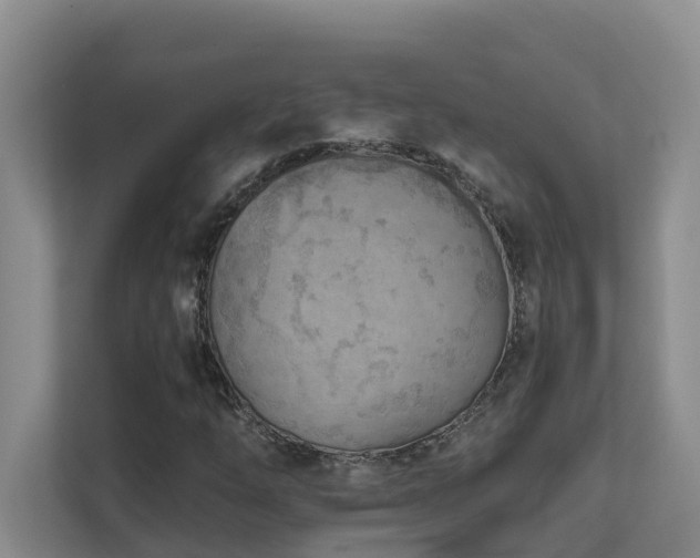X0000111621254200907171237