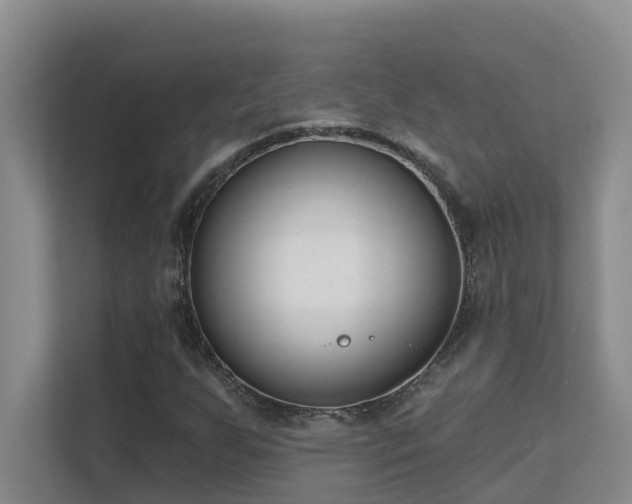 X0000111621255200907171237