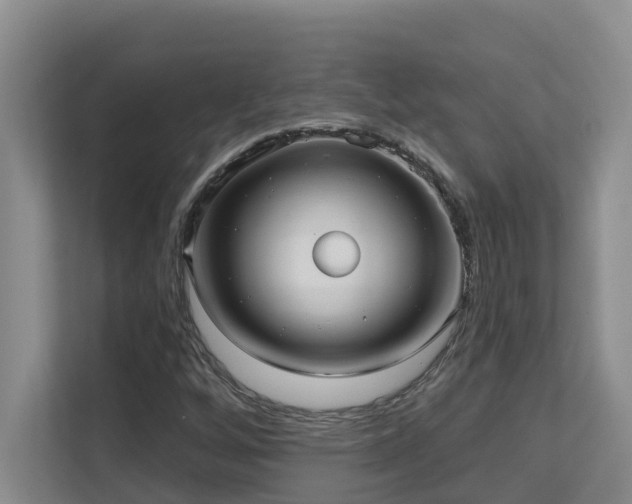 X0000111621256200907171237