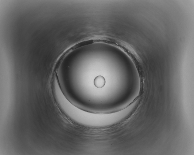 X0000111621260200907171237