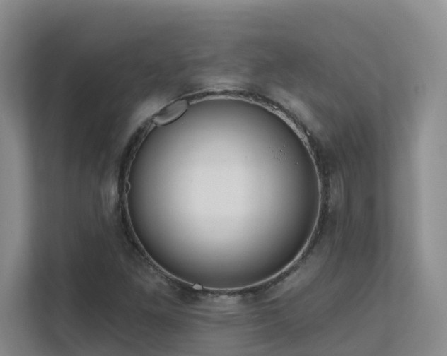 X0000111621261200907171237