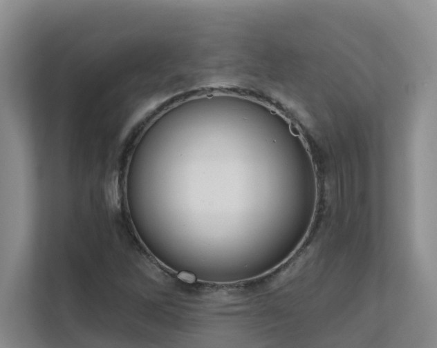 X0000111621262200907171237