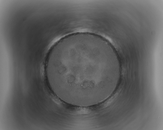 X0000111621263200907171237