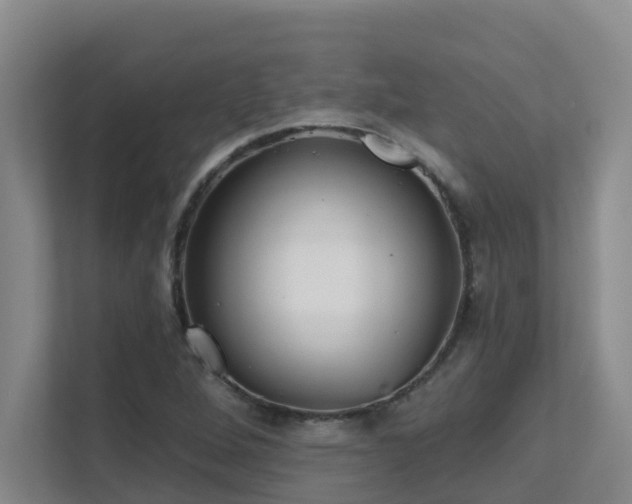 X0000111621264200907171237