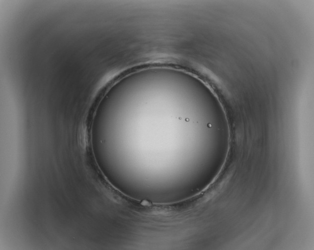 X0000111621267200907171237