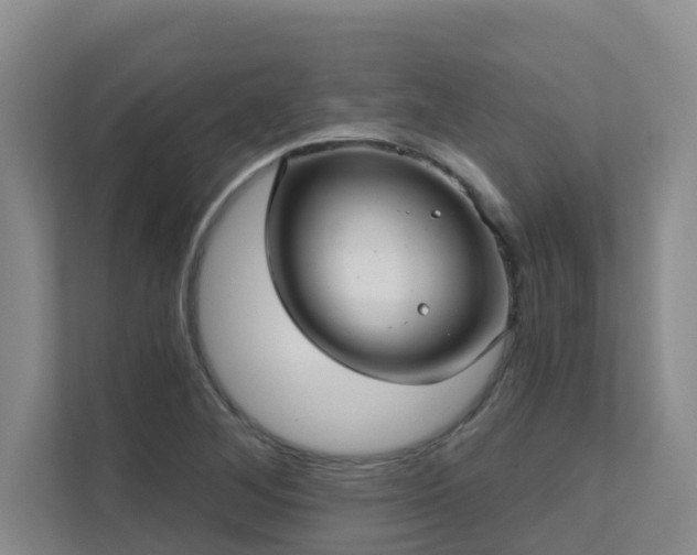 X0000111621268200907171237