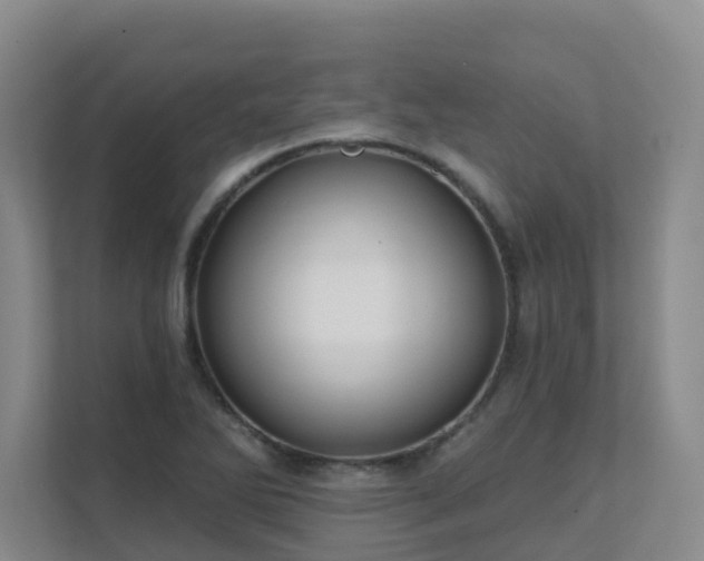 X0000111621270200907171237