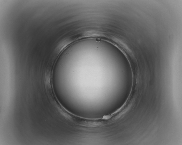 X0000111621273200907171237