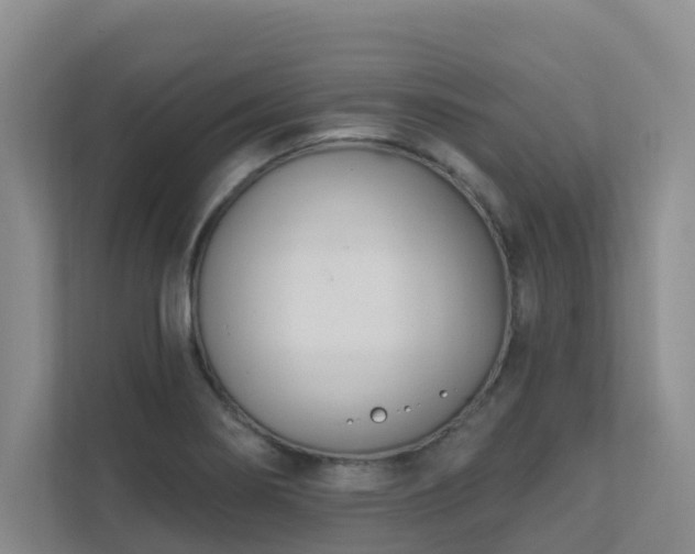 X0000111621274200907171237