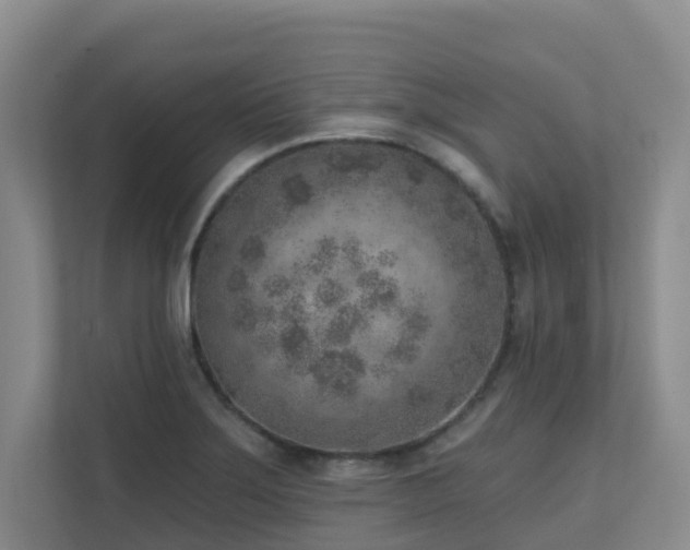 X0000111621275200907171237