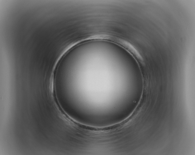 X0000111621276200907171237