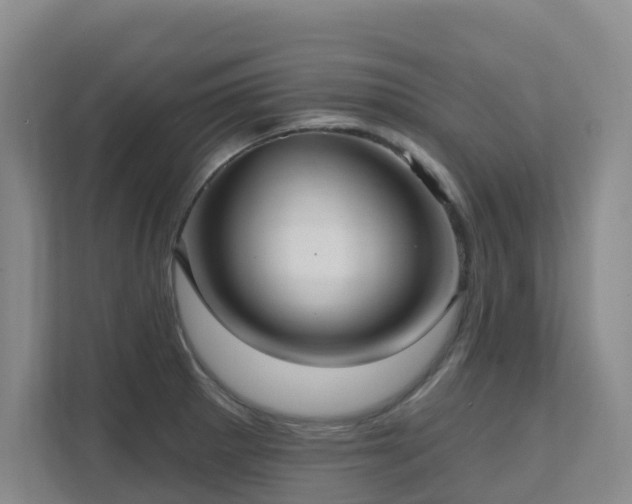 X0000111621281200907171237