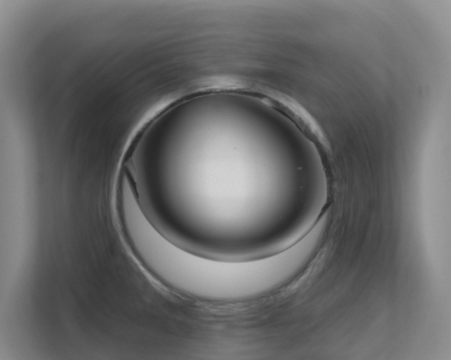 X0000111621285200907171237