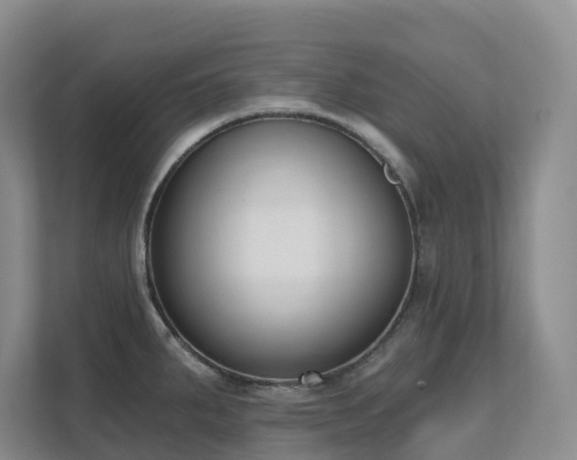 X0000111621287200907171237