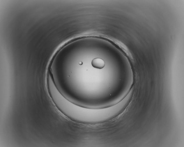 X0000111621288200907171237