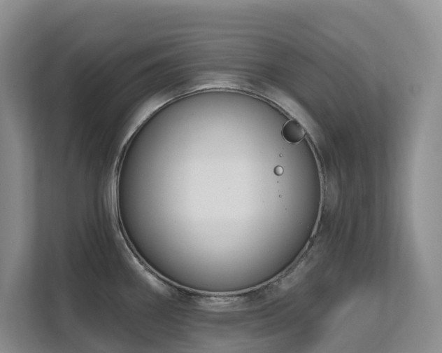 X0000111621290200907171236