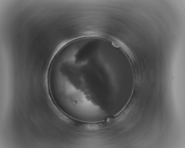 X0000111621291200907171236