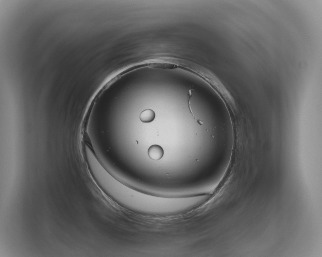 X0000111621292200907171236
